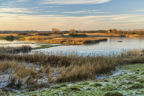 Will You Help To Create Yorkshire's Wilder Wetlands? | Yorkshire ...